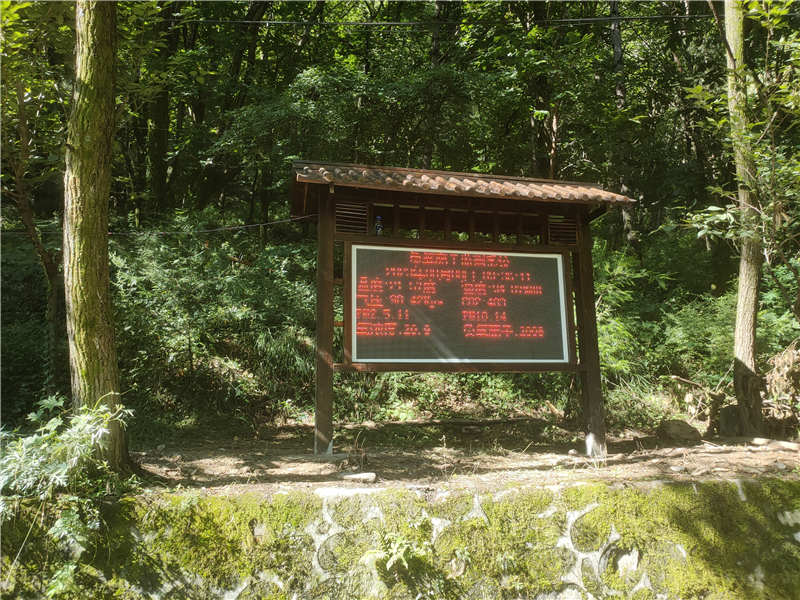 負氧離子 內(nèi)頁.jpg